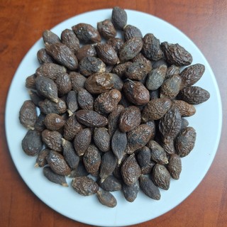 HẠT ĐƯỜI ƯƠI - THẢO MỘC TUỆ MINH (100-500G)