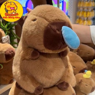 Gấu Bông Chuột Capybara Chảy Nước Mũi (mũi rút được) Capybara Nhồi Bông Quà Tặng Đồ Chơi Hottrend Cao Cấp Gấu Bông City