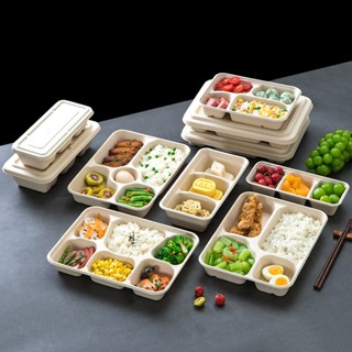  Set 10 Hộp Cơm Bã Mía HCN 3 4 5 Ngăn 1100 1300ml 1400ml Màu Be Kèm Nắp Đậy Không Nắp 