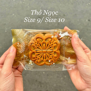 Combo khay trong túi bánh trung thu 180-220g nhiều mẫu