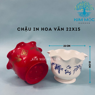COMBO 2 CHẬU NHỰA TRỒNG CÂY SIÊU DÀY THAKICO Size 22x15cm Chậu Miệng Bèo Trắng In Hoa Văn Như Ý Cát Tường