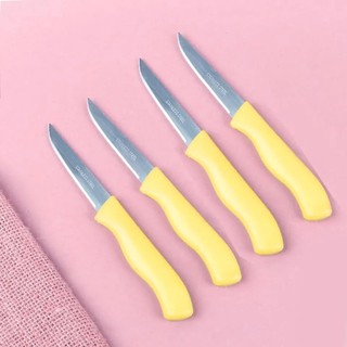 Set 12 Dao Gọt Hoa Quả Nhỏ