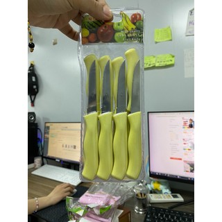 Set 12 Dao Gọt Hoa Quả Nhỏ