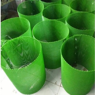 Lồng đẻ cắt sẵn cho cá guppy betta kích thước 30x10 cm