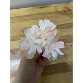Hoa anh đào nhật /hoa anh đào chùm /hoa giả /hoa vải