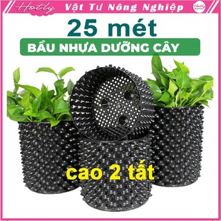 25 mét cao 20cm bầu ươm cây, chậu trồng cây thông minh v6 dày 6mm, tặng ốc vít--77906