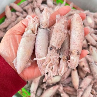 _500g_mực sim hấp thuyền nghệ an