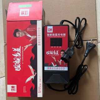 Sạc Xe Điện Xe Máy Điện 72V20A, 60V20A, 48V20A, 48V12A, 12V2A tự ngắt khi đầy, chống phồng bình