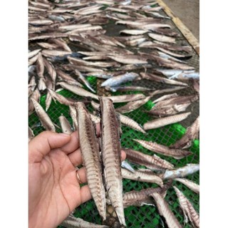 [Hỏa Tốc Tân Phú] 1Kg Cá Nục Tách Xương