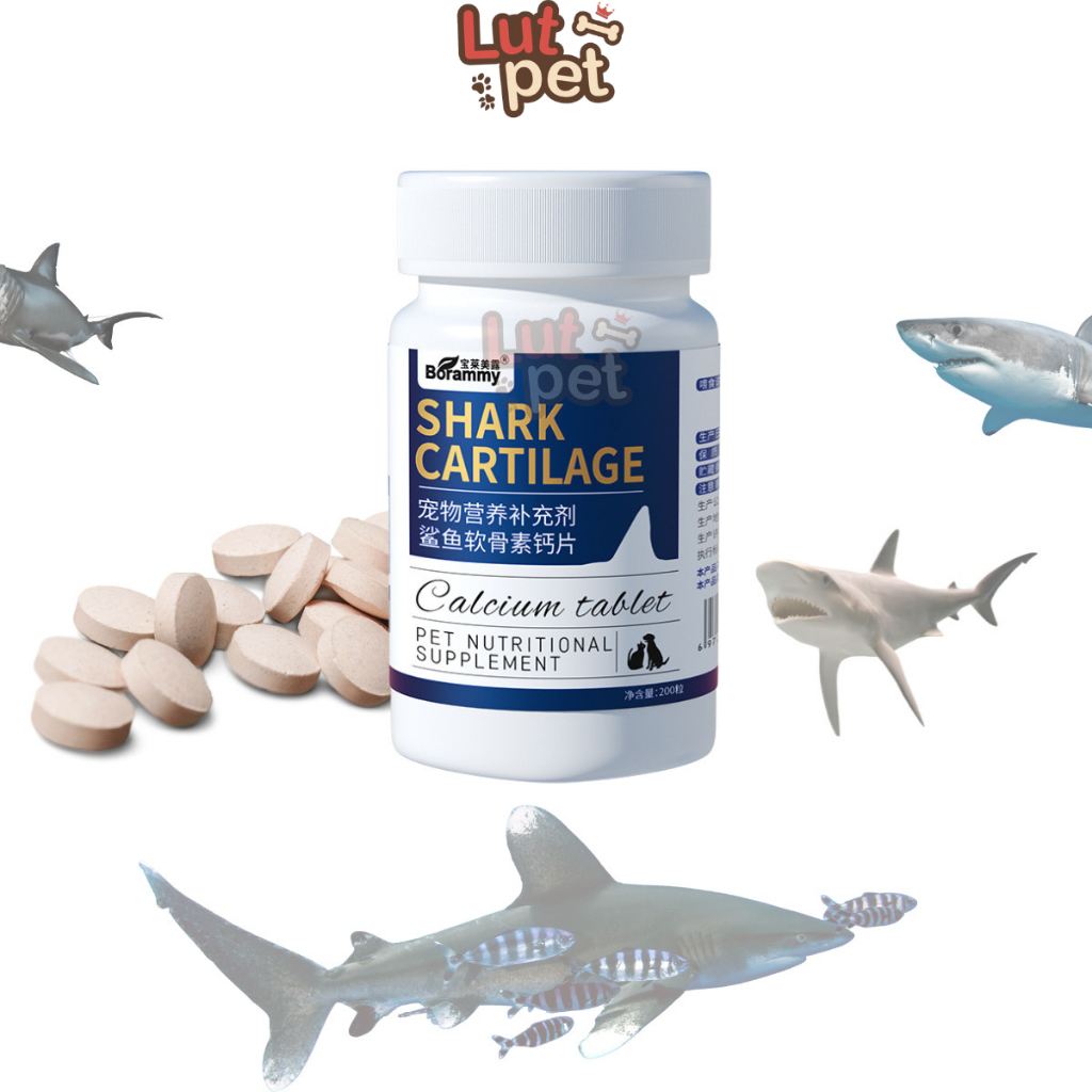 Canxi cho chó mèo Chondroitin xương cá mập giải pháp cho chó mèo hạ bàn, chân yếu  - lutpet