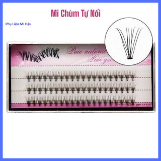 Mi Chùm Tự Nối Tại Nhà_Mi Chùm Tự Nhiên_Mi Cụm_Mi Bụi Tự Nối_Mi Chùm Hồng 10D_Lông Mi Giả Tách Sợi Đẹp Tự Nhiên_Mi Nối