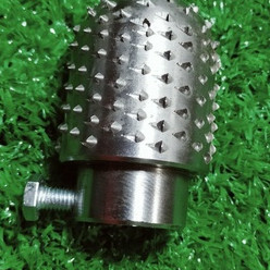 Quả chùy nạo dừa