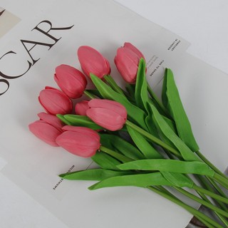 Combo 10 Bông Hoa Tulip CaoSu