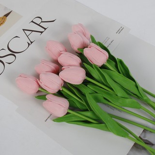Combo 10 Bông Hoa Tulip CaoSu