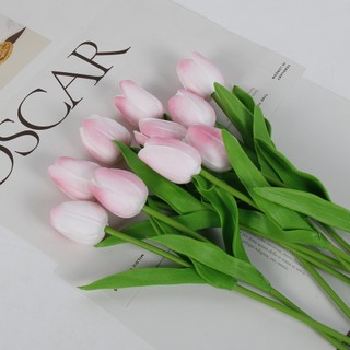 Combo 10 Bông Hoa Tulip CaoSu