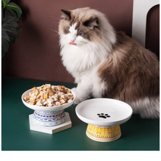 Bát ăn sứ sang trọng chống gù cho chó mèo - chén ăn miệng rộng nhiều bé ăn chung