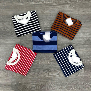 Áo sọc thun nam cotton vnxk