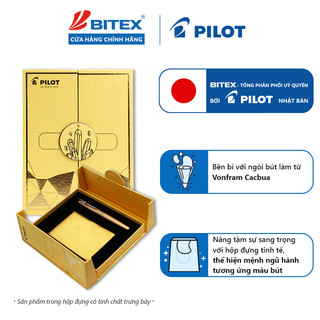 Bút máy Pilot Mr FP-MR2-M-WTG, tip 1.0mm