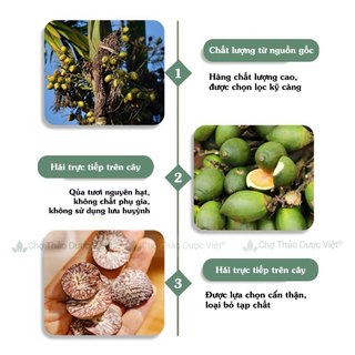 Hạt cau khô 500g, binh lang, nguyên hạt, sạch, đẹp, giảm đau nhức răng, sâu răng - Chợ Thảo Dược Việt