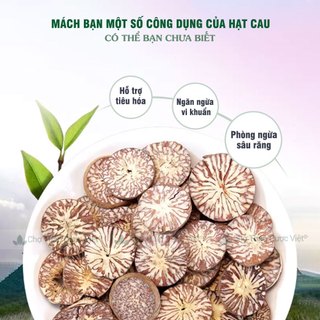 Hạt cau khô 100g, binh lang, nguyên hạt, sạch, đẹp, giảm đau nhức răng, sâu răng - Chợ Thảo Dược Việt