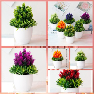 Cây bonsai - cây giả trang trí - cây dứa phát tài nn091