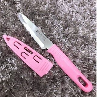 Dao gọt hoa quả có nắp GGOMI Hàn Quốc GG351 lưỡi thép không gỉ, nhựa ABS cao cấp