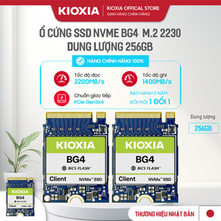 Ổ CỨNG SSD Nvme BG4 Dung lượng 256Gb KIOXIA đọc 2200mb/s,ghi 1400 mb/s-Hàng Chính Hãng