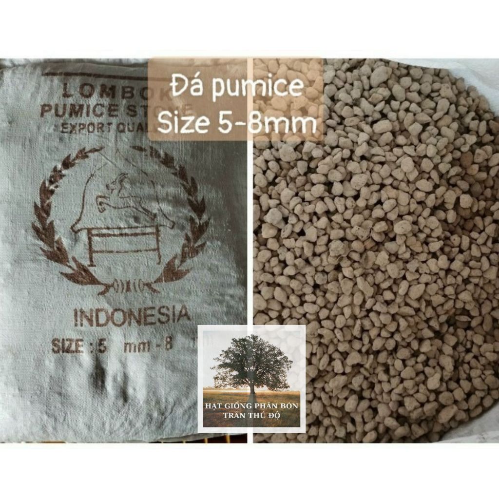 ĐÁ BỌT NÚI LỬA PUMICE 5-8MM ( TÚI 1KG )
