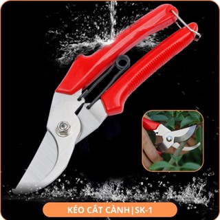 Kéo cắt cành, Thép SK5, Siêu bén, Không gỉ, Có khoá an toàn, Cắt được cành to SK-1