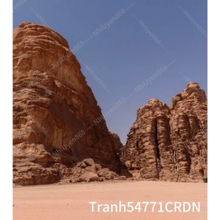 Phông nền chụp ảnh tranh54771crdn