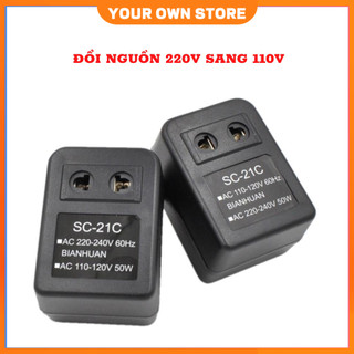 Bộ đổi nguồn 220v sang 110v của nhật | đổi nguồn 220v sang 110v | cục đổi nguồn 220v sang 110v 50w