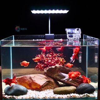 Đèn Led Bể Cá Đánh Đỏ Cá Không Đỏ nước Chuyên Dụng Cho Hồ Thủy Sinh, Hồ Cá Nhỏ