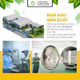 Dầu hạt cải Canola Oils Koala Gold