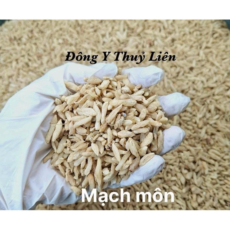 Mạch Môn Bắc (mạch môn đông) loại 1 [500g]