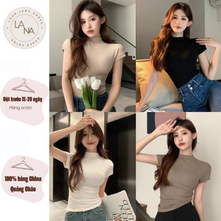 Áo thun tăm cộc tay cổ 3p