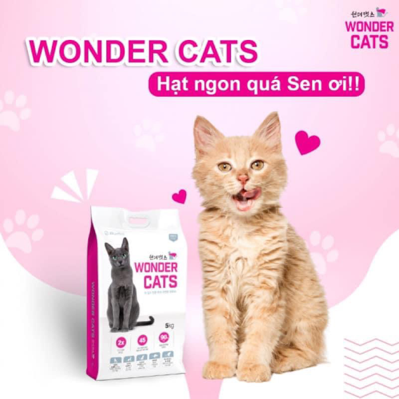 Hạt wonder cat