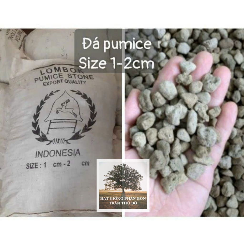 ĐÁ BỌT NÚI LỬA PUMICE 1-2CM ( TÚI 1KG )