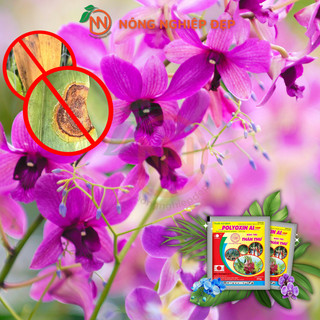 Polyoxin AL 10WP – Hỗ Trợ Phòng Bệnh Trên Cây Trồng - Thán Thư, Vàng Lá, Rỉ Sắt