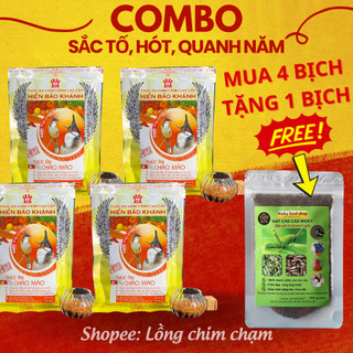 Combo cám chào mào hiển bảo khánh -