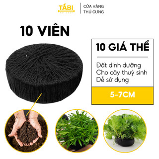 Combo 10 viên giá thể trồng cây thuỷ sinh - trồng cây cắt cắm
