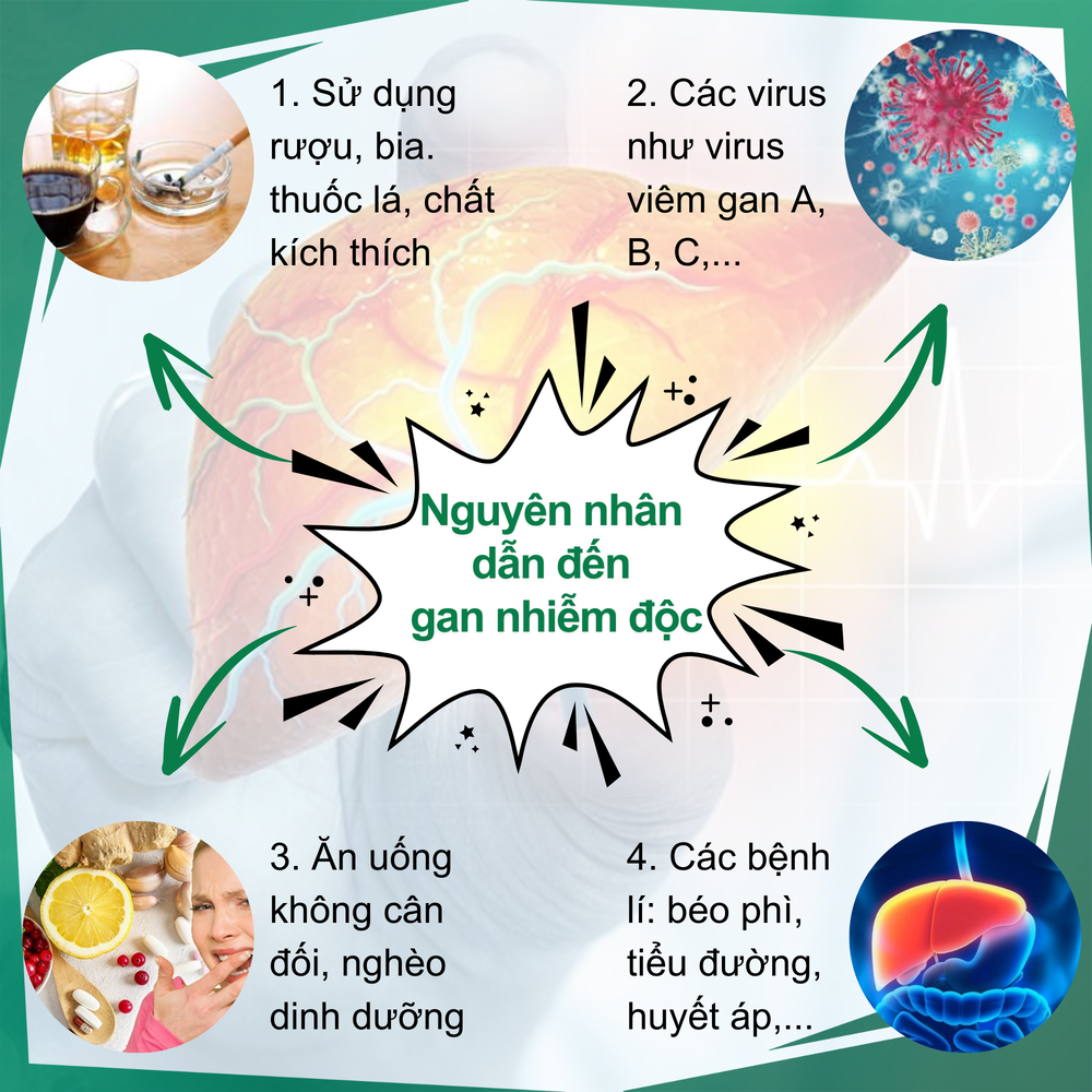 [Lá gan khỏe] Viên uống giải độc gan Fengcha đào thải nhanh các tế bào gan đã bị hư hại, tăng sinh tế bào mới bịch 450v