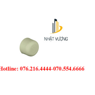 Đầu bịt ống nhiệt ppr d20 d25 d32 d40