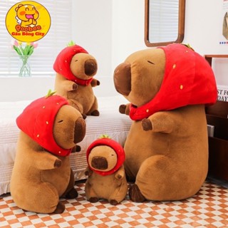 Gấu Bông Chuột Capybara Đội Mũ Dâu Dễ Thương-  Chuột Capybara Mắt Híp Quà Tặng Hottrend Cao Cấp