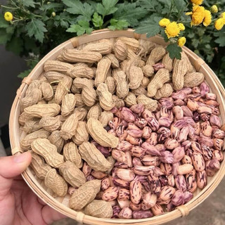 Gói 20 hạt giống lạc hoa ngọt bùi