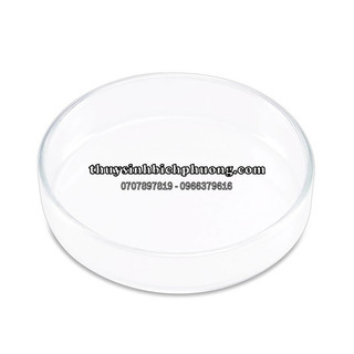 CHÉN TÉP THUỶ TINH LOẠI DÀY - SIÊU RẺ