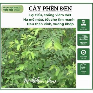 1Kg Cây Phèn Đen khô, nhà trồng