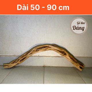[50cm-90cm] Lũa kim sa tùng cầu vồng siêu đẹp cho bể vừa và nhỏ