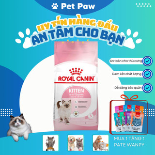 Chiết Zip Hạt Mèo Con Kitten Royal Canin Cho Mèo Con Từ 4- 12th Tuổi Cao Cấp Siêu Dinh Dưỡng Pet Paw