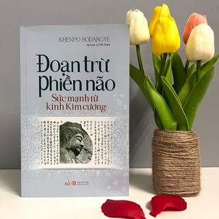 Sách - đoạn trừ phiền não - sức mạnh từ kinh kim cương
