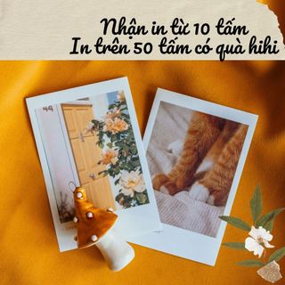 In ảnh theo yêu cầu 6x9 1k/tấm
